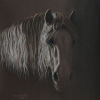 In the shadow of the stables, pastels, 40x30 cm
